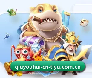 qy球友会五大内容板块,覆盖赛事直播与实时比分（QYSports）
